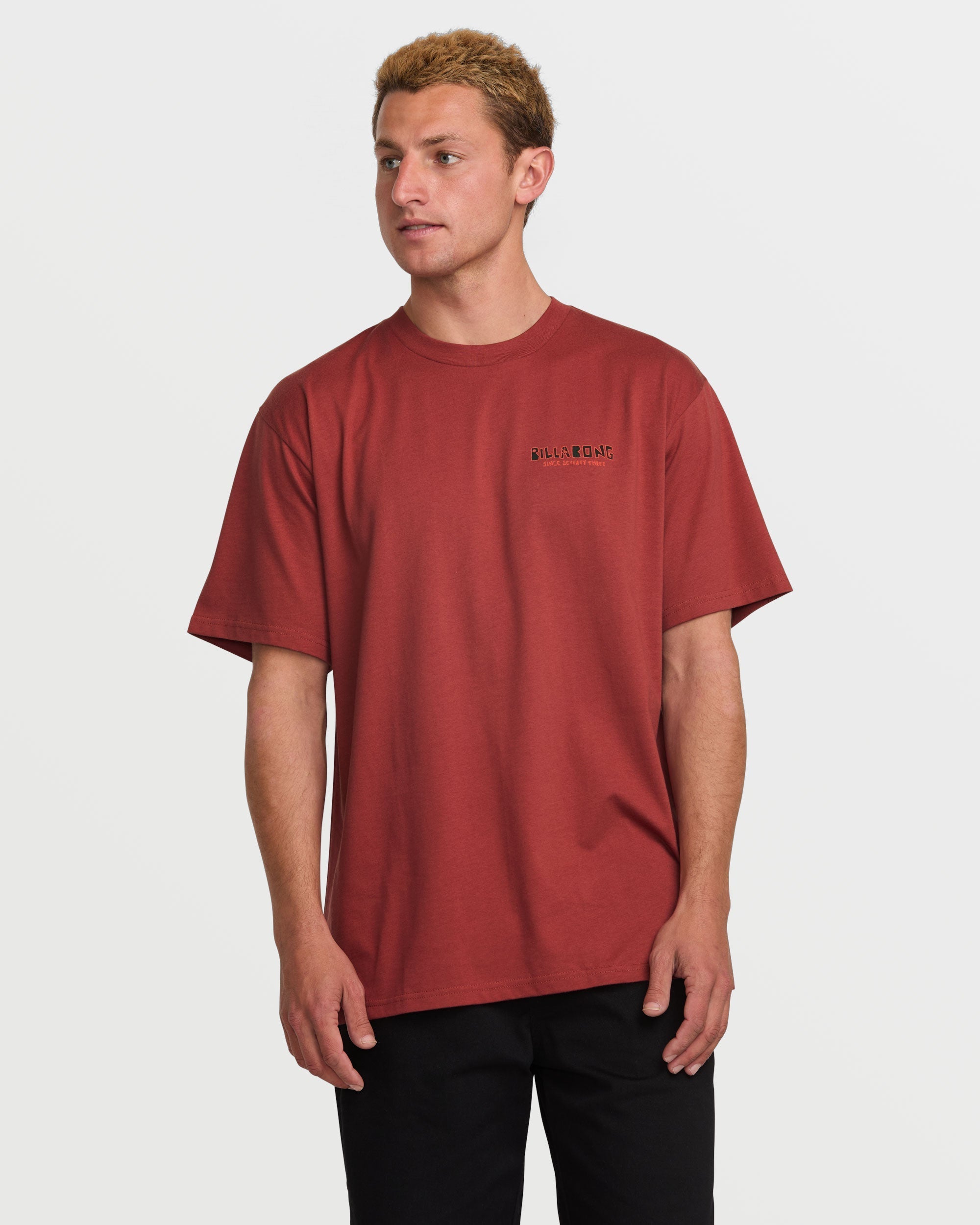 Classic Twin Peaks T-Shirt in Dusty Red